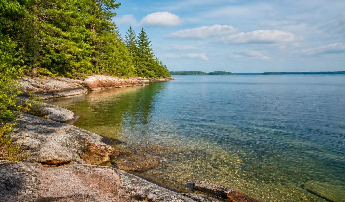 Shoreline Habitat Protection